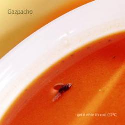 Gazpacho : Get It While It's Cold (37°)
